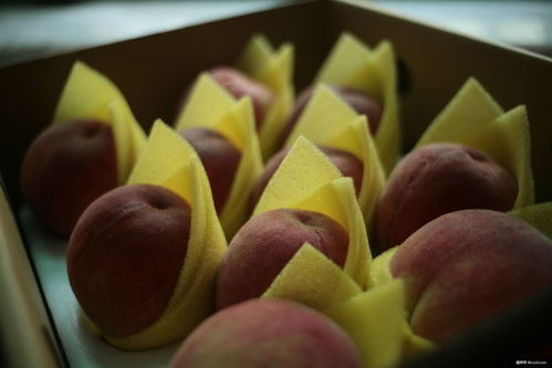 自然之禮 桃、蘋果與覆盆子的美食攝影魅力